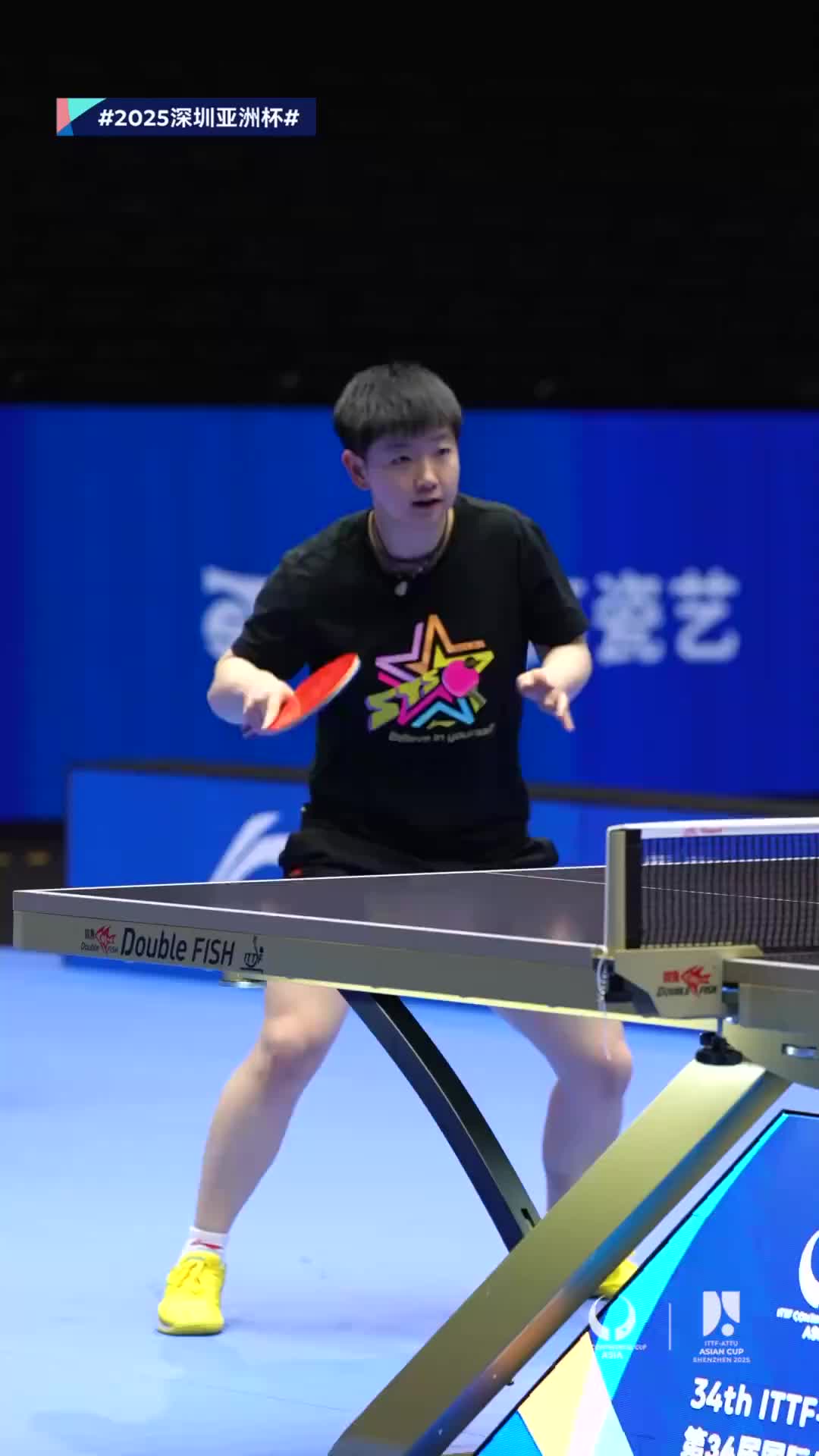 本文将为您